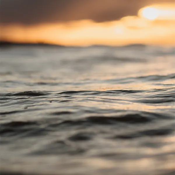 Bienvenidos al Viaje. Bitácora 5 - Noticia - Mar Studio Creativo - Agencia de Publicidad